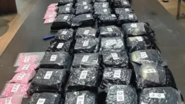 Bareskrim Polri membongkar jaringan peredaran narkotika lintas daerah dengan menyita 86,4 kilogram sabu dan 5.171 butir ekstasi di Rokan Hilir, Riau. Enam tersangka ditangkap, sementara dua orang yang diduga sebagai pengendali jaringan, Punay dan Bos Aeng, masuk DPO dan masih diburu. Polisi terus mengembangkan kasus untuk mengungkap seluruh jaringan pemasok dan distribusi narkotika.