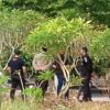 Makam Sutrimo Dibongkar Besok, 183 Polisi Dikerahkan: Kejanggalan Kematian Mulai Diusut