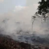 Kementerian Kehutanan menjatuhkan sanksi administratif kepada enam perusahaan pemegang PBPH setelah karhutla membakar total 1.511,55 hektare lahan konsesi di Kalimantan Barat, Kalimantan Tengah, dan Kalimantan Timur. PT MPK bahkan dikenai pembekuan izin karena kebakaran dinilai luas dan berulang.