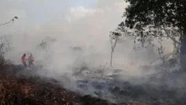 Kementerian Kehutanan menjatuhkan sanksi administratif kepada enam perusahaan pemegang PBPH setelah karhutla membakar total 1.511,55 hektare lahan konsesi di Kalimantan Barat, Kalimantan Tengah, dan Kalimantan Timur. PT MPK bahkan dikenai pembekuan izin karena kebakaran dinilai luas dan berulang.