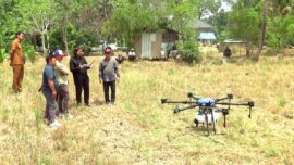 Pertanian Tabalong Naik Level! Drone Sprayer Mulai Turun ke Lahan