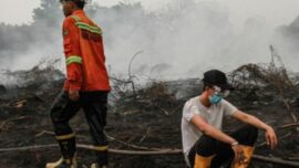 Pemerintah atas persetujuan Presiden Prabowo Subianto membekukan izin usaha lima korporasi pemegang PBPH di Kalimantan Barat dengan total konsesi 371.560 hektare. Menteri Kehutanan Raja Antoni menegaskan sanksi tidak berhenti pada pembekuan izin, tetapi dapat berujung pada paksaan pemulihan lingkungan hingga proses pidana.